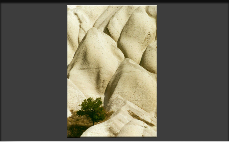 Cappadocia Stone Formation, Tree between Stone Waves, Balkan Valley