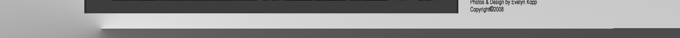 Photos and WebDesign by Evelyn Kopp / Copyright 2008