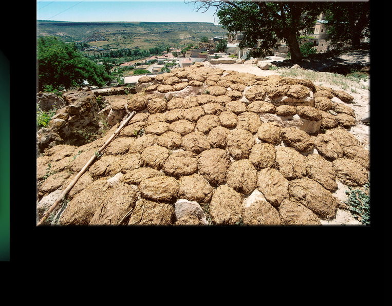 This burning material from animal dung, still formed by the women and dryed in the sun / Das Brennmaterial aus Dung wird noch immer von den Frauen geformt um in der Sonne zu trocknen (2005)