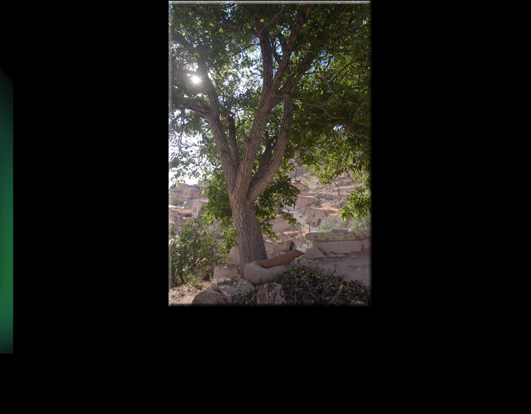 Here, the old ladies from the Village still gather as they did many years ago. The Walnut Tree is witness of all their fears, their hopes, dreams and whishes (Photo taken 2005). 